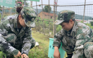 保定徐水区全封闭式管理学校：戒掉孩子网瘾