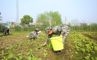 河南怎样让孩子戒掉网瘾：叛逆少年教育学校