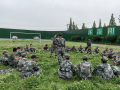 重庆少年军校怎么改变（十大精选名单）