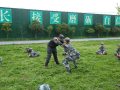 湖南青少年叛逆全封闭军事化教育学校五大排名